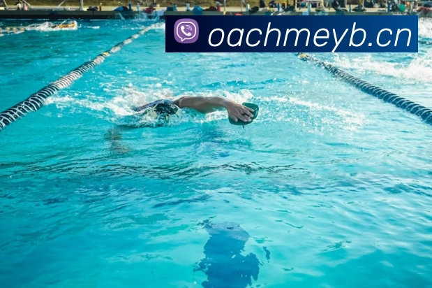 星空官方在线登录入口全站App